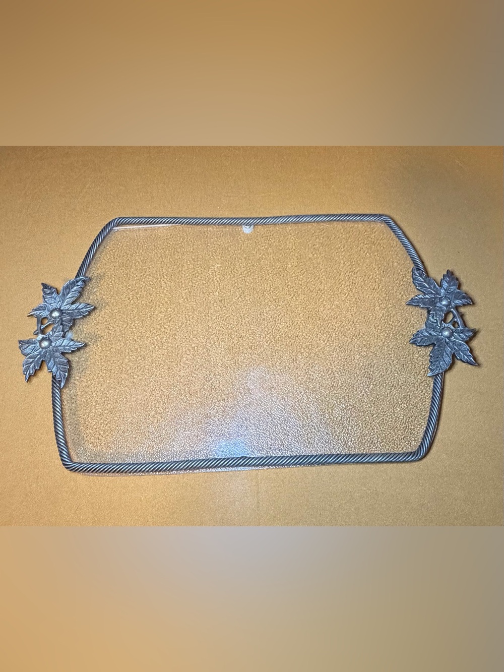 Vtg 1970s Acrylic Serving Tray Pewter Leaf Handles